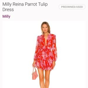 Milly
Reina Parrot Tulip Dress size 6